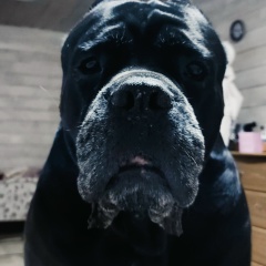 Ольга Ивановы, 01.12, Москва