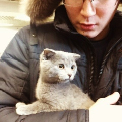 Думан Шора, 11.12, Астана