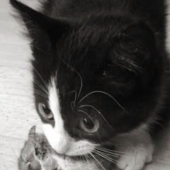 Мария Рубцова