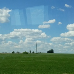 Елена Шевченко