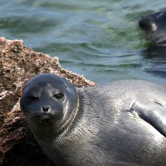 Наталья Ветрова, 16.07, Санкт-Петербург