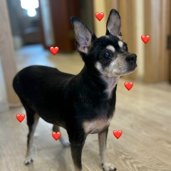 Ирина Мачина, 01.01.1995, Новосибирск