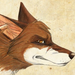 Андрей Панасюк, 09.08.1988, Костанай