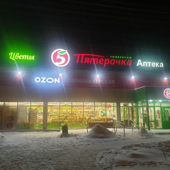 Алина Пестерникова, Ярославль