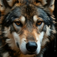 Танюшка Замужем, 23.01.1998, Шахтинск