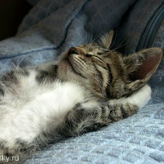 Надежда Рысева, 08.01.1976, Санкт-Петербург