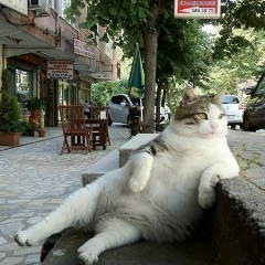 Иван Самарин, 14.11.1984, Санкт-Петербург