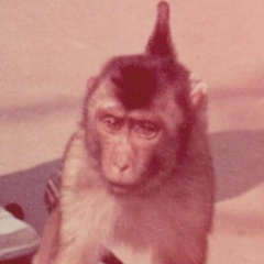 Артем Удовиченко, 25.09