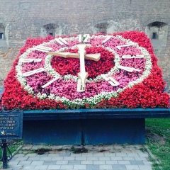 Nataly Bondarenko, 05.05, Львов