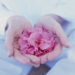 Айжамал Насирадинова, 09.12.1993