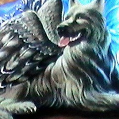 Сергей Разумков, Санкт-Петербург