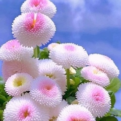 Маргарита Смольянинова, 11.02, Москва