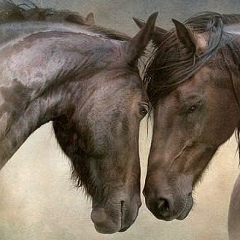 Вероника Вероника, 01.01, Казань