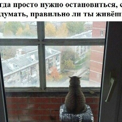 Сергей Одарич, 08.12, Днепр (Днепропетровск)