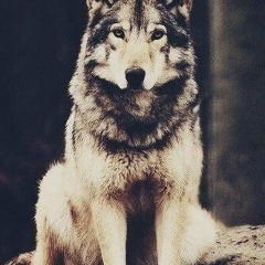 Искандар Рамеев, Минск