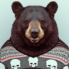 Владимир Храмов, Ульяновск
