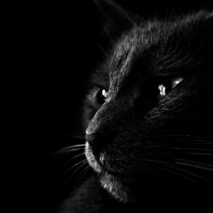 Сулим Мовлаев, 20.11.1997, Гудермес