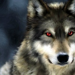 Аслан Шумирхаев, 22.09.1991, Ижевск