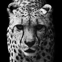 Алёна Люкашина, 08.05.1995, Иркутский