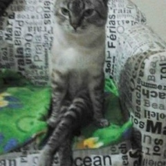 Владимир Коновалов, 16.10.1990, Санкт-Петербург