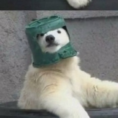 Artur Aftershock, 17.01.1998