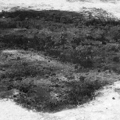 Мария Ульянова, 26.09, Москва