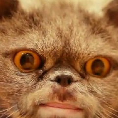 Влад Герасимов, 26.08.1997, Бишкек