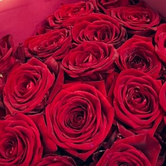 Марина Богданова, 16.05.1988, Санкт-Петербург