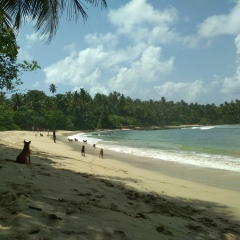 Вова Якушев, Борисполь