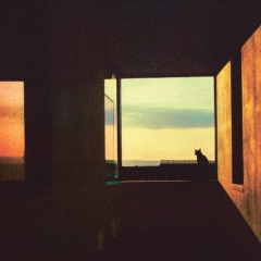 Артём Гапеев