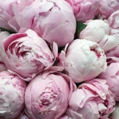 Виолетта Сейферлинг, 21.09, Москва