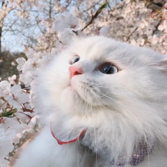 Александра Сухина, 01.05