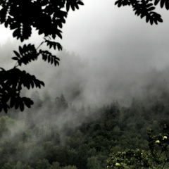 Лешка Аверин, 18.09.1986, Москва