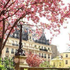 Madina Sha, 09.08.1984, Frankfurt am Main