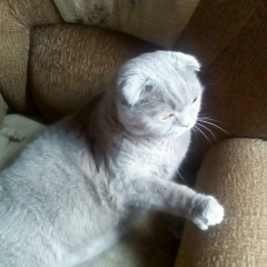 Александр Погорельский, 24.08.1972