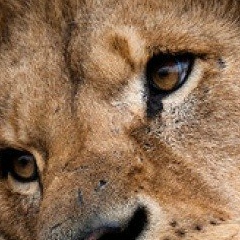 Janatai Uskenov, 11.11.1986, Жанаозен