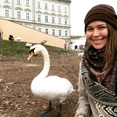 Евгения Комарова, 25.05.1988, Москва