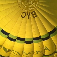 Юля Павлишина, 11.02, Харьков