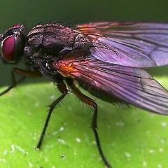 Иван Мухаедов, 10.04, Дмитров