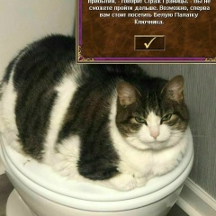 Артур Пайгашов