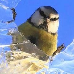 Константин Сергеевич, 18.04.1922, Москва