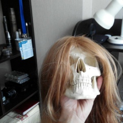 Николай Сташенко, 19.11.1987