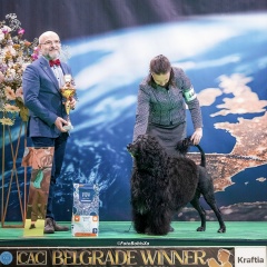 Надежда Михайлова, Zrenjanin