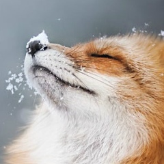 Екатерина Шпажникова, 20.05.1988, Москва