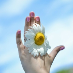 Ярославна Плиско