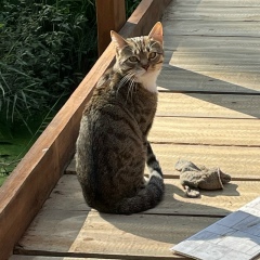 Андрюха Боровиков, 03.07.1989, Москва