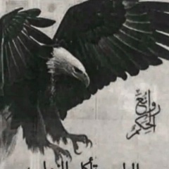 Халимбек Магомедрасулов, Махачкала