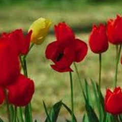 Замира Кадырбаева, 01.10.1991, Актау