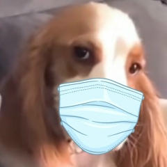 An Rar, 26.07.1985, Yangon