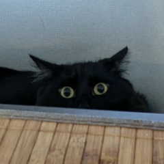 Tim S, Мурманск